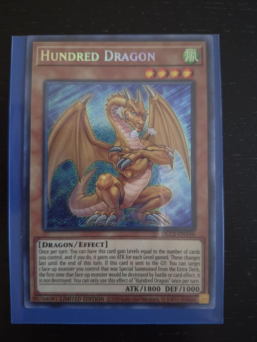 Hundred Dragon Trading Card — Brown Artwork